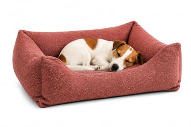 Flamingo Orthopädisches Hundebett und Katzenbett Baleno Rechteck Rot mit Memory Foam 65 x 50 x 20 cm – Bild 1 von 3