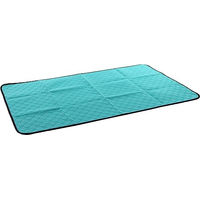 Produktbild von Flamingo Patsy Waschbare Trainingsmatte für Welpen XXL Grün Türkis Rutschfest