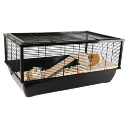 Flamingo Pet Products Käfig Elsa S für Meerschweinchen und Zwergkaninchen 77 x 47 x 36,5 cm – Bild 1 von 6