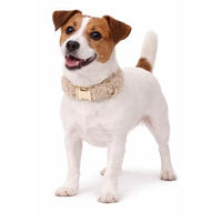 Produktbild von Flamingo Pookie Hundehalsband aus Fleece in Beige Gold Grösse S 31-50cm