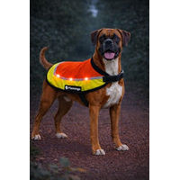 Produktbild von Flamingo Regenmantel Hund Sicherheitsweste Orange Größe L wasserdicht mit LED und USB-aufladbarem Akku