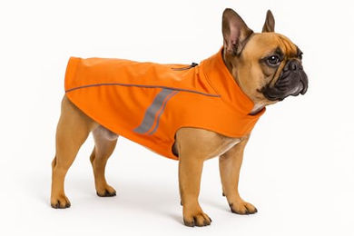 Flamingo Regenmantel Pomi für Hunde in Orange aus Polyester wasserdicht – Bild 1 von 3