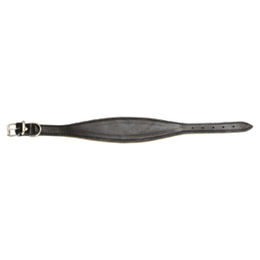 Produktbild von Flamingo Rondo Lederhalsband Schwarz S/M 26-32 cm 50 mm
