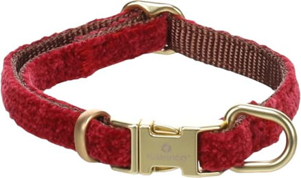 Flamingo Saba Hundehalsband aus Nylon mit Velvet in Rot XS 20-35cm x 10mm x 3mm – Bild 1 von 3