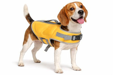 Flamingo Schwimmweste Swimmy für Hunde Gelb Größe M – Bild 1 von 3