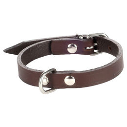 Produktbild von Flamingo Seattle Lederhalsband für Hunde dunkelbraun 33-40 cm 18 mm