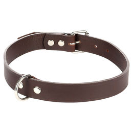 Produktbild von Flamingo Seattle Lederhalsband für Hunde dunkelbraun 46-54 cm 25 mm