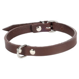 Produktbild von Flamingo Seattle Lederhalsband für kleine Hunde in Dunkelbraun 23-26 cm 10 mm
