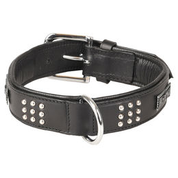 Flamingo Sedona Hundehalsband aus Leder mit Nieten schwarz 39-45 cm – Bild 1 von 1