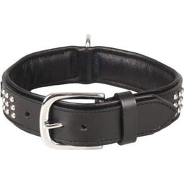 Flamingo Sedona Leder Halsband mit Nieten und Schmuckelementen Schwarz Größe M 34-40 cm – Bild 1 von 1