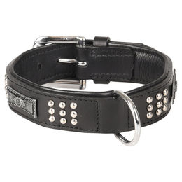 Flamingo Sedona Lederhalsband für Hunde Schwarz Größe S/M 31-35 cm – Bild 1 von 3