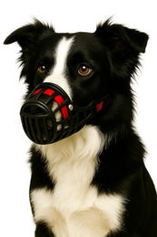 Flamingo Silas Maulkorb für mittlere Hunde in Schwarz Größe M mit weicher Innenpolsterung – Bild 1 von 4