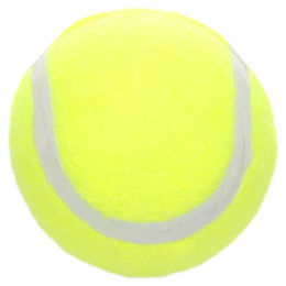 Flamingo Smash Tennisball Hundespielzeug Gelb aus Gummi Ø 5,1 cm – Bild 1 von 1