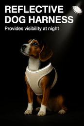 Flamingo Step&Go Bento Hundegeschirr für kleine Hunde in Beige Größe S – Bild 1 von 6