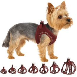 Flamingo Step&Go Bento Hundegeschirr für kleine Hunde und Welpen XS Aubergine – Bild 1 von 5