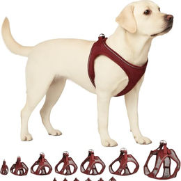 Flamingo Step&Go Bento Hundegeschirr Mesh Step-In XL Aubergine – Bild 1 von 6