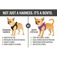 Produktbild von Flamingo Step & Go Bento Hundegeschirr Norwegergeschirr aus Nylon Dunkelblau Größe M
