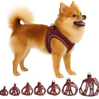 Produktbild von Flamingo Step&Go Bento Hundegeschirr Norwegergeschirr für kleine Hunde in Aubergine S
