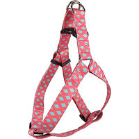 Produktbild von Flamingo Step&GO Norwegergeschirr für Hunde Rosa Grün L 50-70cm