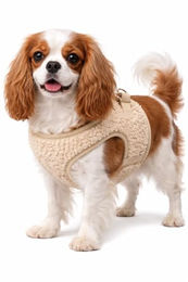 Flamingo Step & Go Pookie Hundegeschirr Beige Größe S mit Mesh und Goldfarbenem Metall-Klickverschluss – Bild 1 von 4