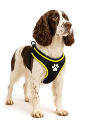 Flamingo Step&GO Tasha Hundegeschirr aus Nylon Schwarz Größe L 75-95cm – Bild 1 von 3