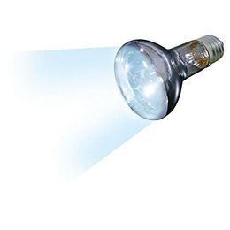 Flamingo Tageslicht-Spot Daylight Beam 75W für Reptilien und Frösche - 75 Stk. – Bild 1 von 3