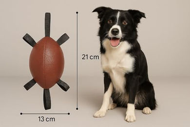 Flamingo Towo Rugbyball Hundespielzeug aus Kunststoff Braun für Wasser und Land – Bild 1 von 4