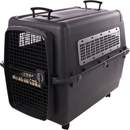 Flamingo Transportbox Lanta für Hunde Grau XXL IATA-konform aus Kunststoff – Bild 1 von 4