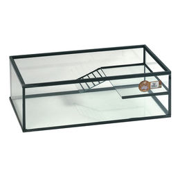Flamingo Trias Schildkrötenbecken Terrarium Transparent 60 x 35 x 20 cm – Bild 1 von 4