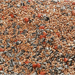 Flamingo Wildvogel Futter Sonnenblumenkerne 700g – Bild 1 von 5