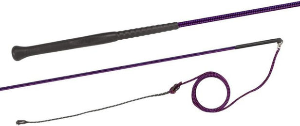 Fleck Longierpeitsche aus Nylon mit Ergo-Griff in Lila 180 cm – Bild 1 von 1