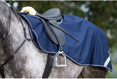 Produktbild von Fleece Nierendecken für Pferde HFI Pony in Braun oder Blau