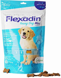 Flexadin Funktionssnack für junge Hunde großer Rassen mit Huhn und Fisch getreidefrei zur Gelenkunterstützung 300g – Bild 1 von 3