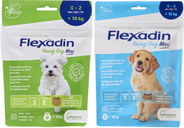 Flexadin Young Dog Mini Funktionssnack für Hunde Junior 2 x 60 Kaubrocken – Bild 1 von 3