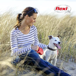 flexi New Classic Rollleine mit Gurtband XS Schwarz 3m für kleine Hunde bis 12 kg - 3 m – Bild 1 von 9