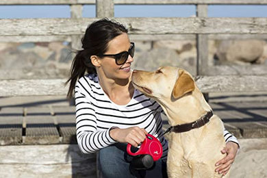 flexi New Classic XS Rollleine für kleine Hunde mit Gurtband Rot 3 m - 3 m – Bild 1 von 8