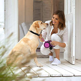 Produktbild von flexi New Comfort L Rollleine Blau für Hunde bis 60 kg