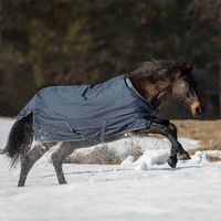 Produktbild von Flexible Pro Weidedecke Outdoordecke für Pferde Navy Grau Größe 135