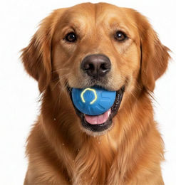 FLOCKI Pets™ Intelligenzspielzeug für Hunde mit LED-Beleuchtung aus Naturkautschuk für kleine Rassen und erwachsene Hunde – Bild 1 von 5