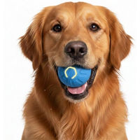 Produktbild von FLOCKI Pets™ Intelligenzspielzeug für Hunde mit LED-Beleuchtung aus Naturkautschuk für kleine Rassen und erwachsene Hunde