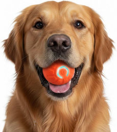 FLOCKI Pets™ Tier-Intelligenzspielzeug Hundespielzeug Bewegender und springender Ball mit LED-Beleuchtung aus Naturkautschuk für kleine Rassen und erwachsene Hunde – Bild 1 von 5