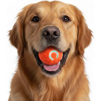 Produktbild von FLOCKI Pets™ Tier-Intelligenzspielzeug Hundespielzeug Bewegender und springender Ball mit LED-Beleuchtung aus Naturkautschuk für kleine Rassen und erwachsene Hunde