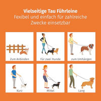 Produktbild von Floxik Premium Führleine für Hunde grün - Verstellbare Tauleine 3m für kleine Hunde - Wasserabweisend - 3 m