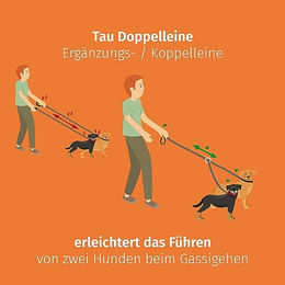 Floxik Tau Doppelleine für 2 Hunde grau schwarz reflektierend dehnbar L – Bild 1 von 4