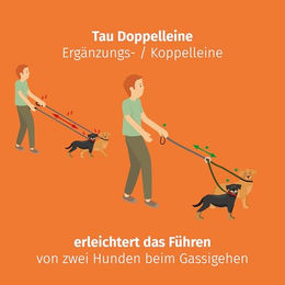 Floxik Tau Doppelleine für 2 Hunde Grün Größe L reflektierend und dehnbar – Bild 1 von 4