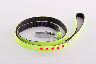 Produktbild von Fluoreszierende Hundeleine aus Gurtband von Martin Sellier in Gelb