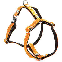 Produktbild von Fluoreszierendes Hundegeschirr Martin Sellier aus Nylon in Orange 10/30-40 cm