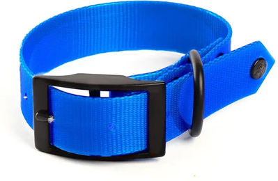 Produktbild von Fluoreszierendes Hundehalsband aus Nylon von Martin Sellier in Blau 25/55 cm