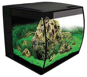 Fluval Aquarium Flex LED Aufsetzleuchte Schwarz für 57 Liter Aquarien - 57 l – Bild 1 von 2