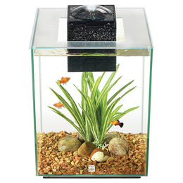 Produktbild von Fluval Aquarium-Kit Chi II 19 Liter